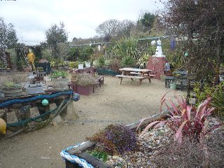 Themed plants display area for the Isle of Wight