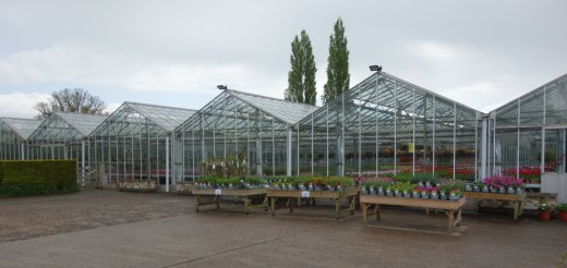 Greenhouses at Bungalow Nurseries