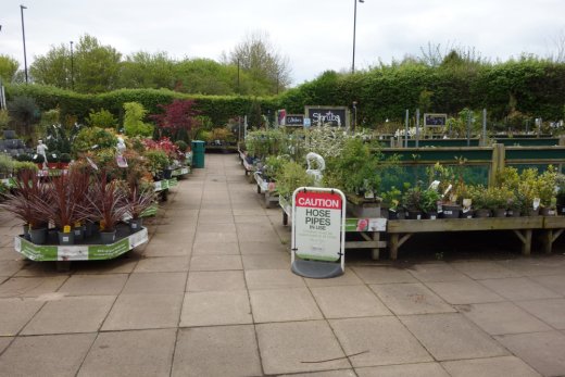 Plants area at Coventry Garden Centre