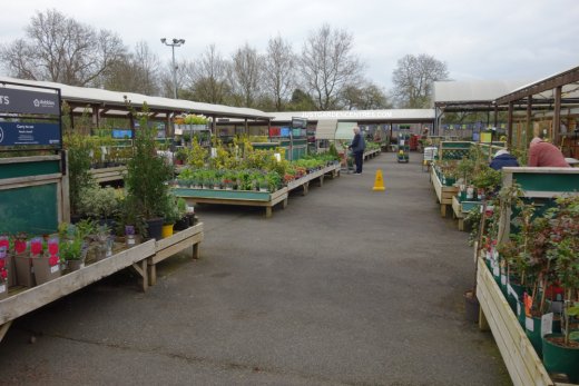 Main plants area at Dobbies Stratford on Avon