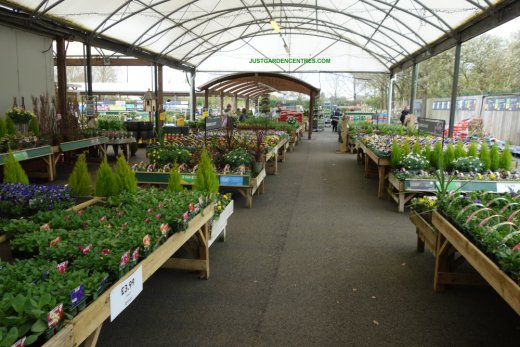 Covered plants area