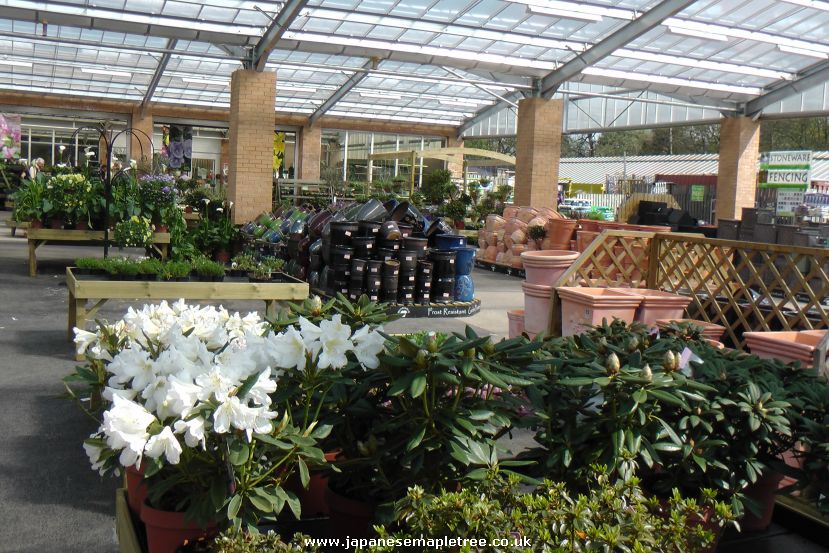 Gordale Garden Centre JustGardenCentres review