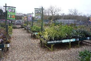 Plants at Afton Garden Centre
