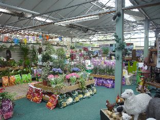 House plants at Laylocks Garden Centre