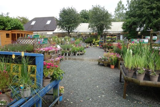 Plants area at Littlehurst Garden Centre