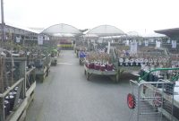 View of the plants area