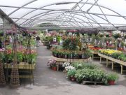 Picture of covered plants area