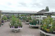 View of plants sales area
