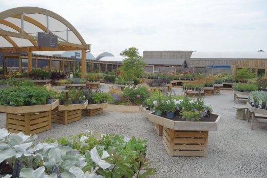View of the plants area at Smith's Garden Centre
