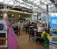 Cafe at Squires Garden Centre, Windsor