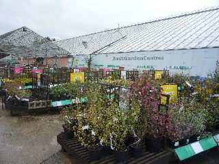 Plants area