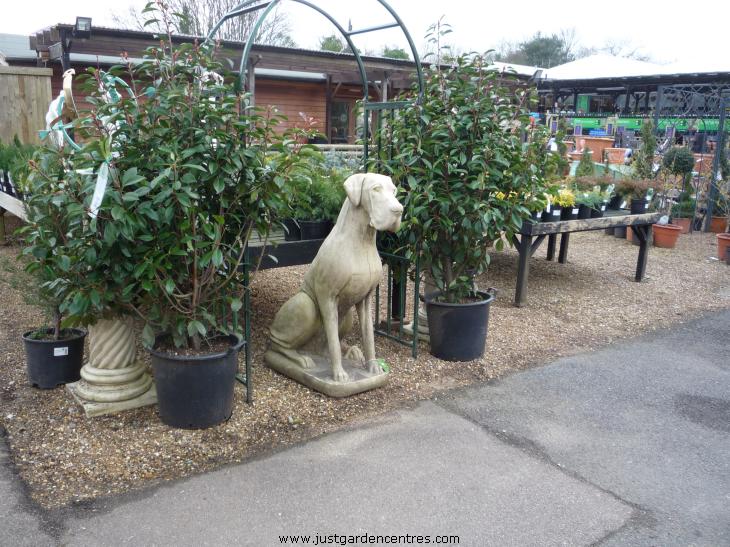 Van Hage, Chenies JustGardenCentres