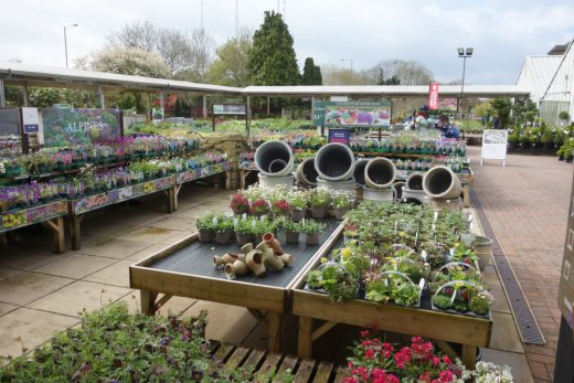 View of plants area at Webbs
