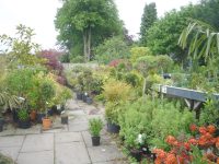 A view of  Woolmans Garden Centre