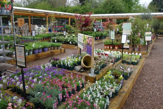 Plants area at Worcester Garden Centre