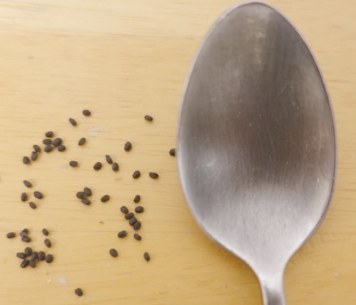 Unsprouted Seed Potatoes in Egg Box