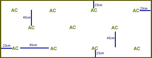 Suggested Asparagus Planting Plan