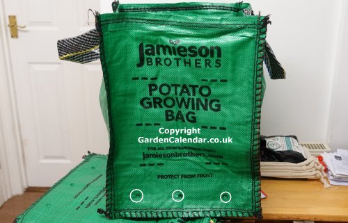 Potato Grow Bag