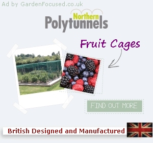 Northern Polytunnels ad by JustGardenCentres.com
