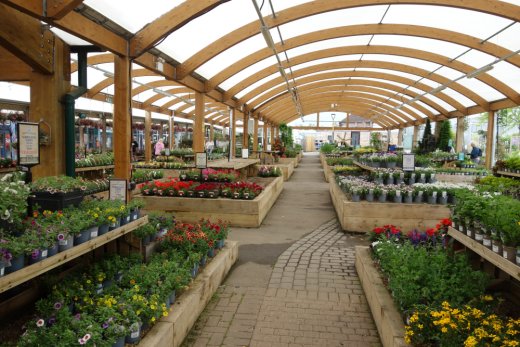 View of Bridgemere Garden Centre plants