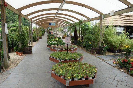 View of Bridgemere Garden Centre plants