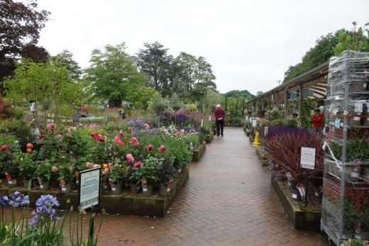 View of Bridgemere Garden Centre plants