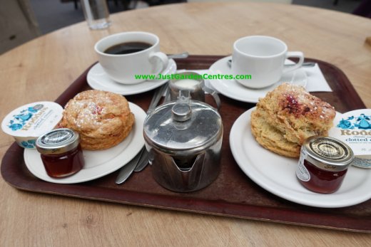 Scones for a lunch snack at Bridgnorth Garden Centre