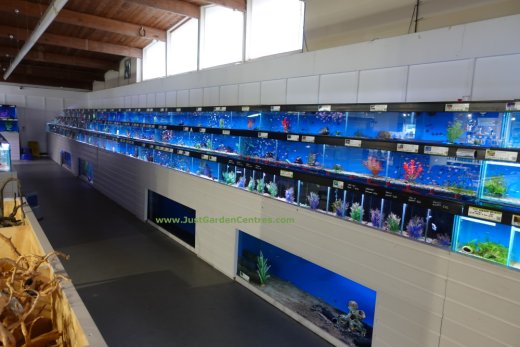 Maidenhead Aquatics at Bridgnorth Garden Centre