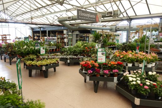 Houseplants at Bridgnorth Garden Centre