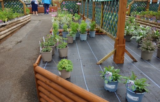 Sparsely filled plant bays