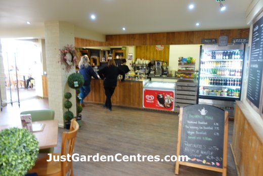 View of the cafe at Cherry Lane Glebe