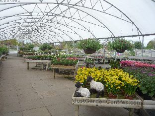 View of the outside plants area at David's Nurseries