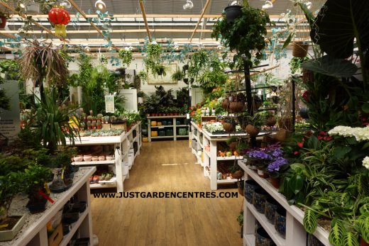 Houseplants at Derby Garden Centre