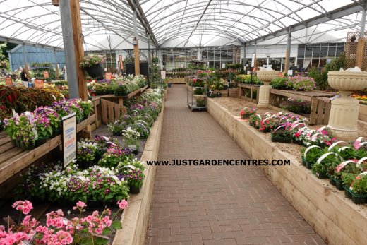 Plants area at Derby Garden Centre