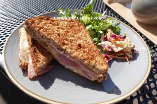 Cheese and ham toastie at Dobbies Beaconsfield