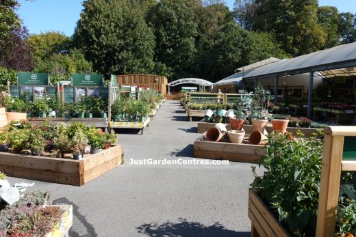 Outside plants area at Dobbies Beaconsfield
