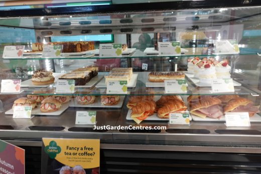 Cakes and pastries at Dobbies Beaconsfield Garden Centre