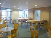 View of cafe at Dobbies Shepton Mallet