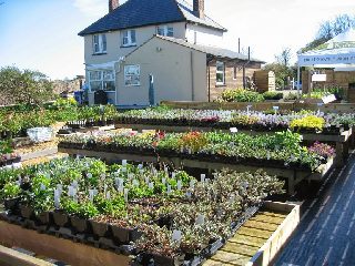Eddington House Nursery