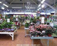 Inside sales area at Evesham Garden Centre