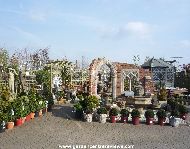 Centre piece in plants area 