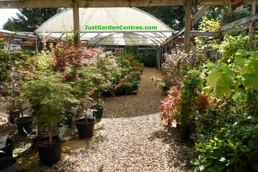 Plants area at Farnborough Garden Centre