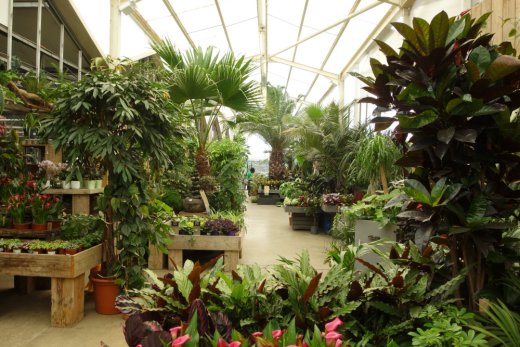 Entrance hall at Flowerland, Iver