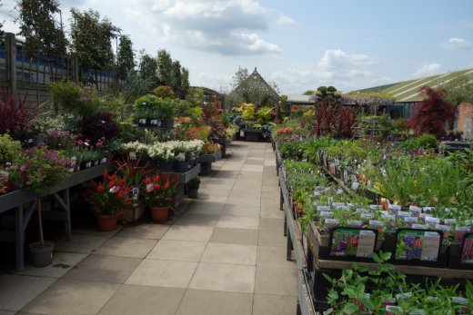 Plants area at Flowerland, Iver