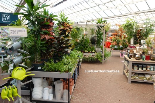 Houseplants at Gates Woodlands Garden Centre