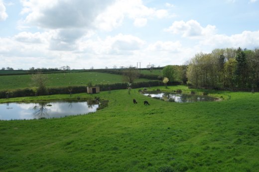 View from outside cafe seating at Gates Garden Centre