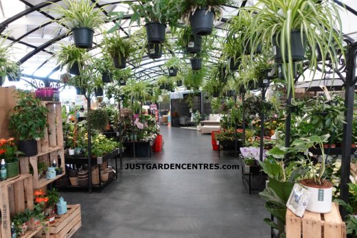 Houseplants sales are
