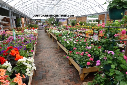 Plants area at Gloucester Garden Centre
