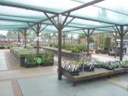 View of the garden centre