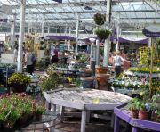 Covered outside area